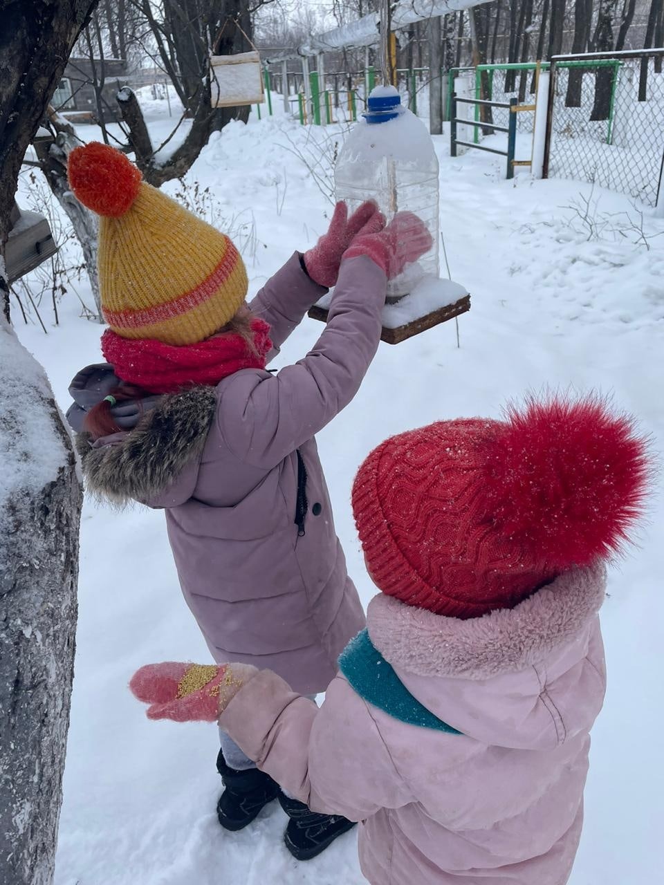 Новогодняя акция &amp;quot; Каждой пичужке по кормушке&amp;quot;..