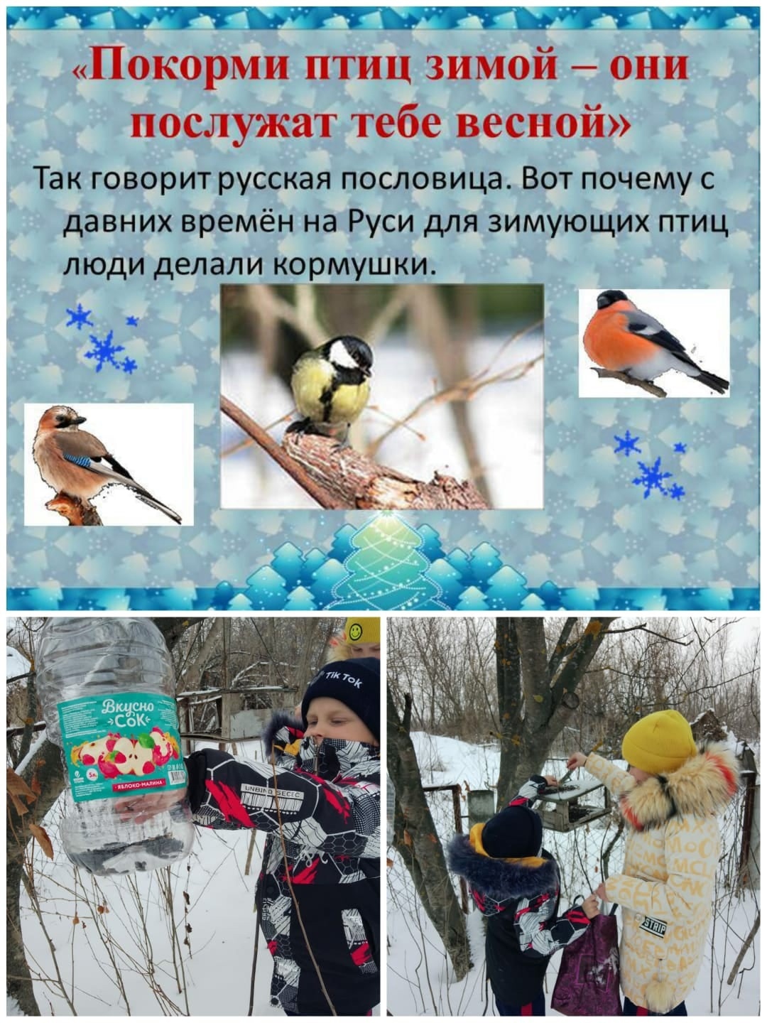 Участие в экологической акции &amp;quot;Покормите птиц зимой&amp;quot;..